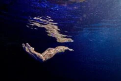 FUNKITA PANEL POP | LADIES TWISTED ONE PIECE -Funkita FKS010L PANEL POP L2